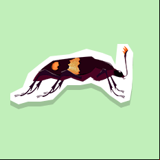 carrionbeetle